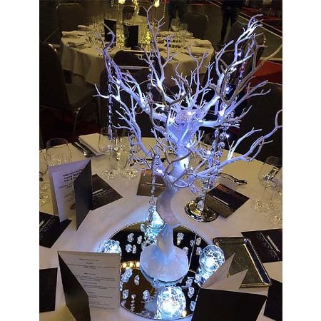 Fire and Ice Theme centrepiece hq for hire